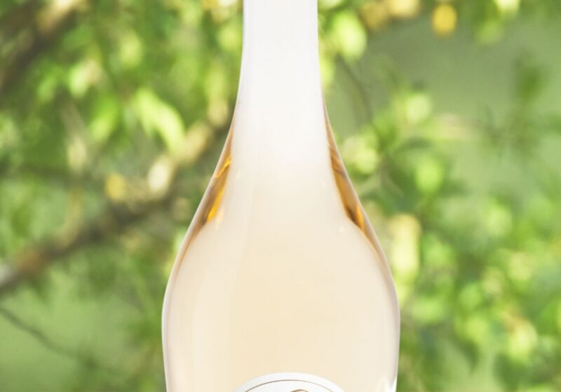 Notre Vin blanc : un Éclat de Pureté au cœur du Var