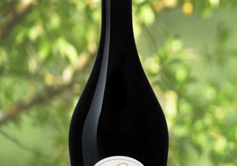 Notre Vin rouge : L'esprit du Château Saint Ange