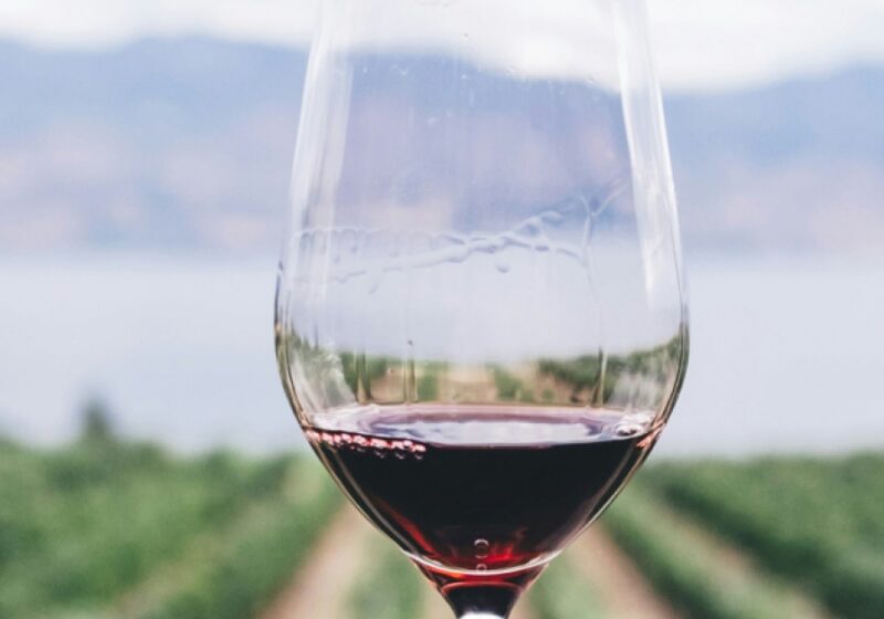 Nos vins >