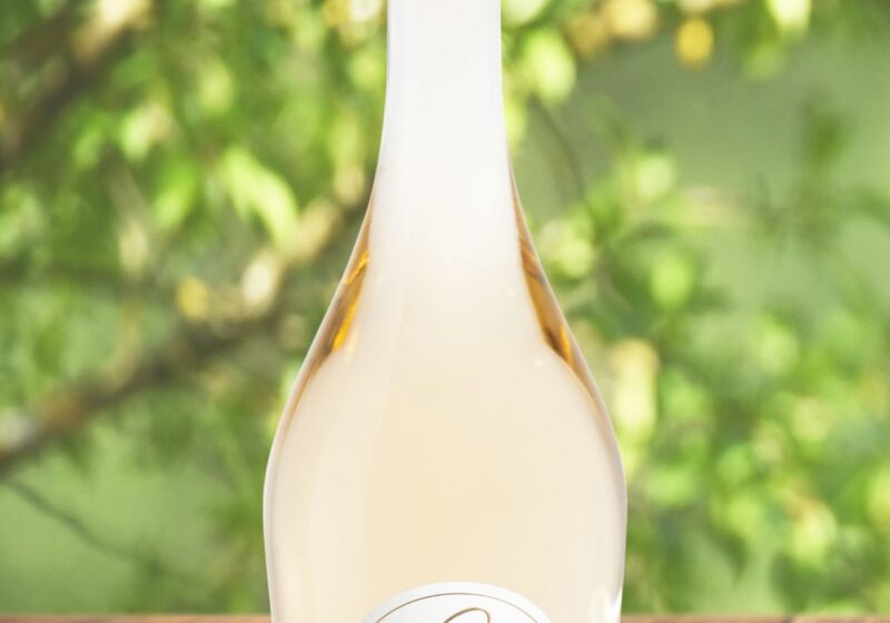 Notre Vin blanc : un Éclat de Pureté au cœur du Var