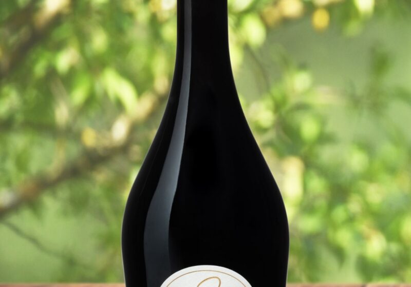 Notre Vin rouge : L'esprit du Château Saint Ange